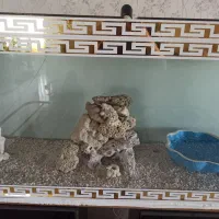شن وسخره