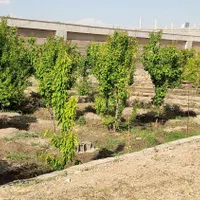 چهار دیواری باغ گاز آب شهری سند تک برگ جار|فروش زمین و ملک کلنگی|اصفهان, آبشار|دیوار