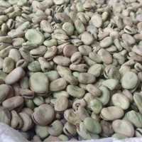 باقالی خشک تازه زودپز|خوردنی و آشامیدنی|مهربان, |دیوار