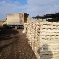 عرضه پالت چوبی مستقیم از تولید کننده