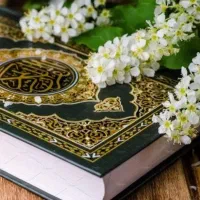 فال طالع وو دعا تضمینی