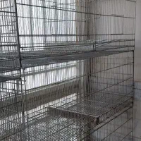 پژاوند بدون پایه از قم