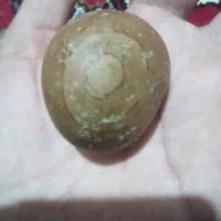 فسیل قدیمی....قدمت 65میلیون سال یک فسیل سر مار