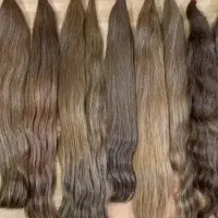 ضمانتی ضد رشک وشپش یک ساعته