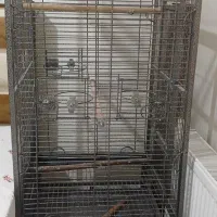 قفس کاسکو