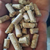 خوراک دام پرواری ویژه قشلاق فیروزآباد