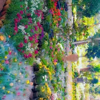 انجام کلیه کارهای باغچه و باغبانی|خدمات باغبانی و درختکاری|اهواز, بهارستان|دیوار