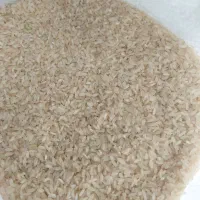 برنج کامفیروزی به شرط پخت درج‌یک|خوردنی و آشامیدنی|شیراز, دشت چنار|دیوار