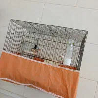 قفس و لوازم کامل