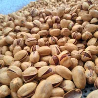 اجیل پزی..تفت وشور کردن  اجرتی