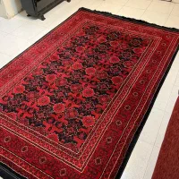 فرش ۴ متری|فرش|فولادشهر, B5|دیوار