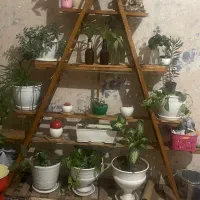 قفسه چوبی|کتابخانه، شلف، قفسه‌های دیواری|کرج, شهرک جهان‌نما|دیوار
