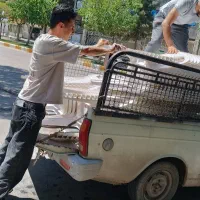 اجاره لوازم برگزاری مراسم و جشن با کیفیت عالی