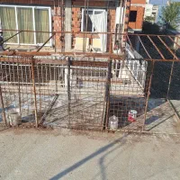 کلو مرغ وکفتر