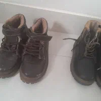 دوتا پوتین مشکی و قهوه ای|کیف، کفش، کمربند|اردبیل, |دیوار