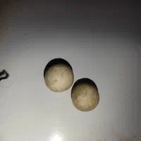 مهره قدیمی