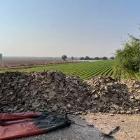 کشاورزی & کود مرغ