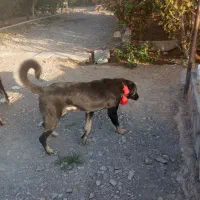 واگذاری انبار