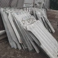 ایرانیت