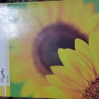 کتاب دهم شاخه فنی حرفه ای رایگان