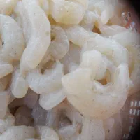 میگو سرتیپ جنگل حرا