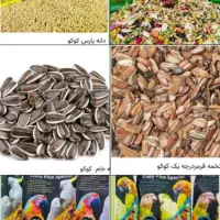 لوازم پرندگان|لوازم جانبی حیوانات|لاهیجان, کوی زمانی|دیوار