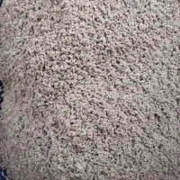 خریدار تخم نارنج