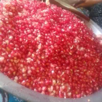 رب انار خونگی