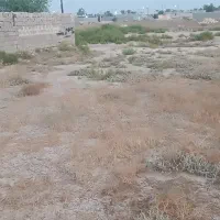 500متر زمین بنه گز