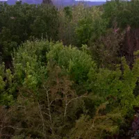 باغ|فروش زمین و ملک کلنگی|کاشان, طاهرآباد|دیوار