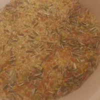 خوراک مخلوط درجه یک طوطیسانان کیلویی ۹۵ هزارتومن|لوازم جانبی حیوانات|سیستان, |دیوار