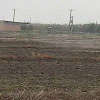 نگهبانی زمین کشاورزی زی