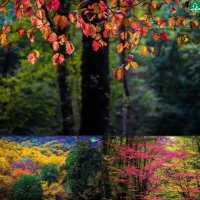 راهنمایی وکمک