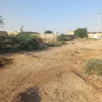 زمین واقع در ام اطمیر 450 متر