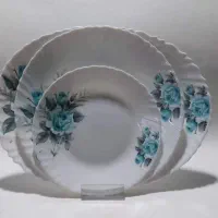 پخش عمده ارکوپال قالب لومینارک