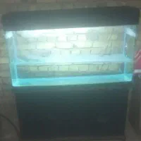 آکواریوم در حد نو