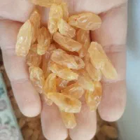 کشمش اعلا درجه یک