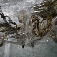 لوستر برنزی|لوستر و چراغ آویز|تهران, هفده شهریور|دیوار