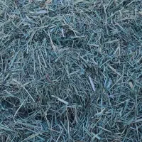 گیاه علف علوفه