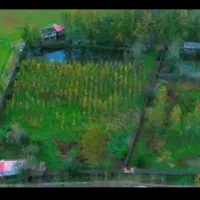 ۶۵۰۰ متر۳نبش سند تک‌برگ قابل شهرک‌سازی|فروش زمین و ملک کلنگی|رشت, کوی حسینی|دیوار