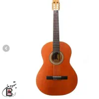 گیتار پارسی m3
