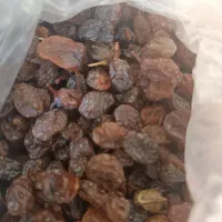 کشمش پلویی|خوردنی و آشامیدنی|شیروان (خراسان), |دیوار
