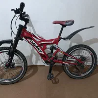 دوچرخه سایر 20