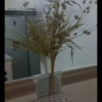 گل در حد نو