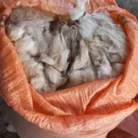 پشم  گوسفند