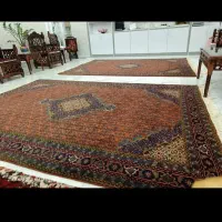 فرش دستبافت کاشان|فرش|اردبیل, |دیوار
