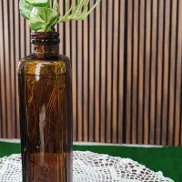شیشه گل طبیعی،دیوار سبز، رومیزی،کافی شاپ و غیره|گل و گیاه طبیعی|مشهد, شهرک صنعتی توس|دیوار