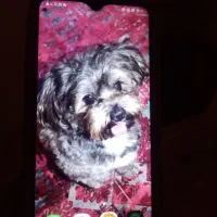 گوشی سامسونگ a20s