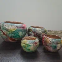 گلدون سفالی|گل و گیاه طبیعی|پاکدشت, حصار امیر|دیوار