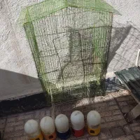 قفس و کل ابخوری